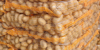 I'm selling Gala 45+ potatoes. They're washable and packed