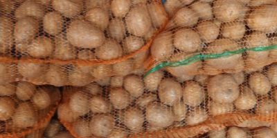 Продаје се црвени и бели кромпир за конзумирање, у