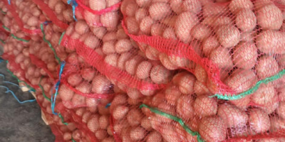 Продаје се црвени и бели кромпир за конзумирање, у