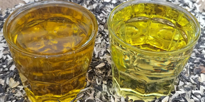 Sonnenblumenöl, Sonnenblumenmehl und -kuchen aus der Ukraine mit Lieferung