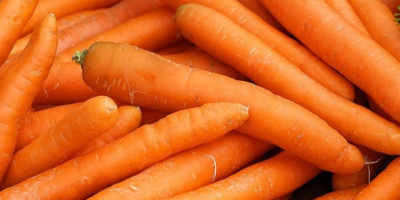 Buongiorno, compreremo carote calibro 2-4. Prodotto lavato, qualità commerciale.