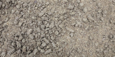 Vendo sansa di semi di lino di alta qualità,