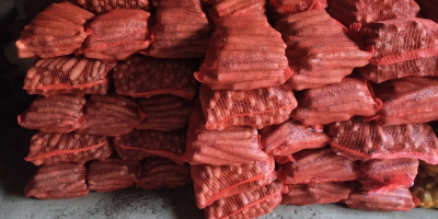 Buongiorno, vendo carote in busta, 10 PLN a busta,