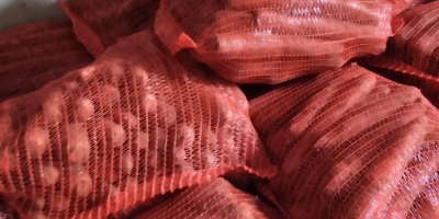 Buongiorno, vendo carote in busta, 10 PLN a busta,