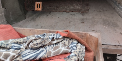 Buongiorno, vendo carote in busta, 10 PLN a busta,