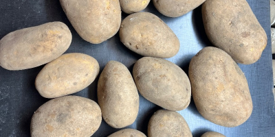 I have 10 varieties of edible and French fries