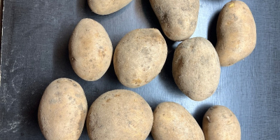 I have 10 varieties of edible and French fries