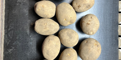 I have 10 varieties of edible and French fries