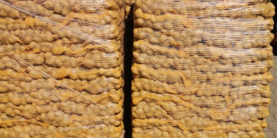 Продајем жути кромпир, калибар [телефон] и 45+, 50+, 55+,