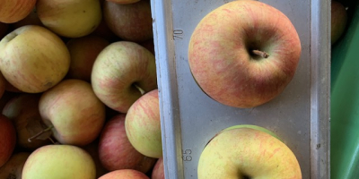 Fuji 65/75 Firma in der Provinz Udine, Italien