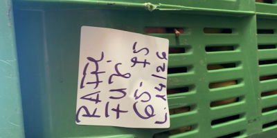 Fuji 65/75 Firma in der Provinz Udine, Italien