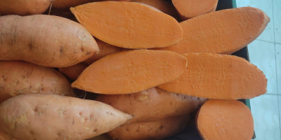 Сладки картофи – Произведено в Египет. Висококачествени египетски сладки