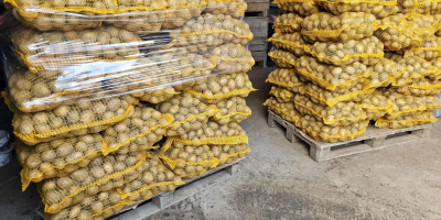 Soraya edible potatoes. Carrots, Parsley, Beetroots. Soraya edible potatoes