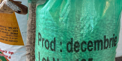 Weiße Bohnen, 10 kg Sack, Qualität A, 180-200/100 g,