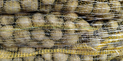 GALA-Kartoffeln aus leichter Erde, gebürstet in einem genähten Beutel.