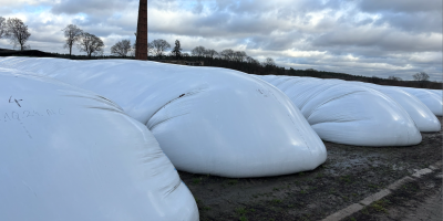 Good morning, I have 3,000 tons of corn available