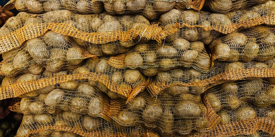 Soraya. Gelbe Kartoffeln zu verkaufen, über 50 Kalorien, ganze