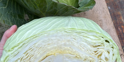 При необходимости можем организовать доставку. Бесплатная доставка в радиусе