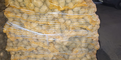 Hallo, ich verkaufe Kartoffeln der Sorten Soraya, Melody und