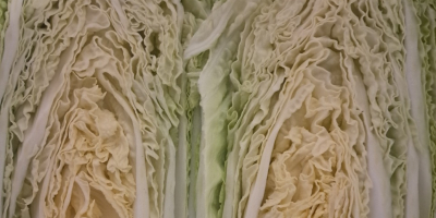 Здравейте, продавам китайско зеле, с размер 0,8-1,8 кг и