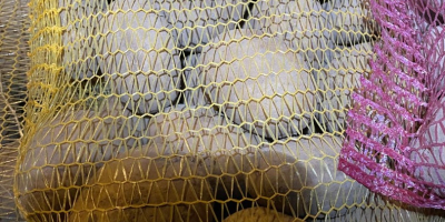 Am de vânzare 24 de tone de cartofi de