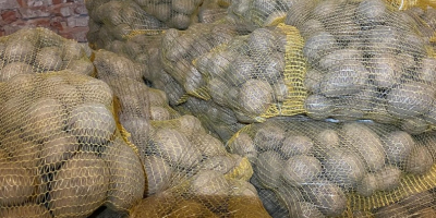 Am de vânzare 24 de tone de cartofi de