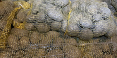 Am de vânzare 24 de tone de cartofi de