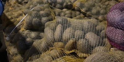 Am de vânzare 24 de tone de cartofi de