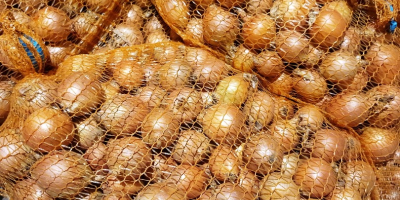 Ще продавам лук. [телефон]