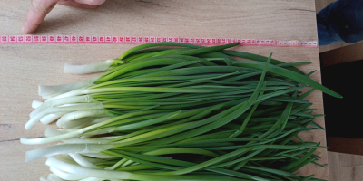 Bună ziua, vând arpagic la legături și la greutate.