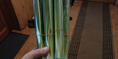 Bună ziua, vând arpagic la legături și la greutate.