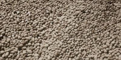 ZU VERKAUFEN: Babykartoffeln 22–40 mm – Gala &amp; Queen