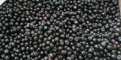 Замороженная методом IQF клубника и черника. Страна происхождения: Беларусь.