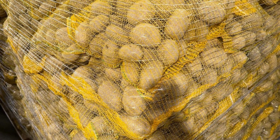 Продајем велике количине помфрита и јестивог кромпира. Паковано у