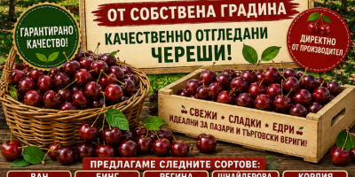 Обадете се за повече информация