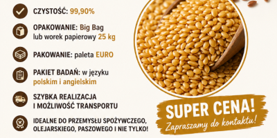 Braune und goldene Leinsamen, Menge: 100-1000 t