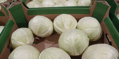 Harvest 2025. Peeled, packed in 15 kg bags.
