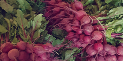 I'm selling young, cut beetroot and beet greens -