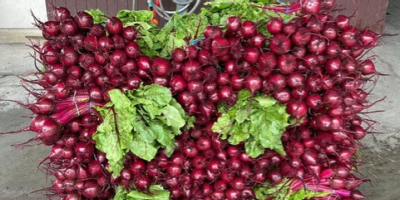 I'm selling young, cut beetroot and beet greens -