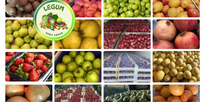 RGI DAR FRESH SRL ist ein rumänisches Unternehmen mit