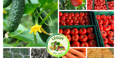 RGI DAR FRESH SRL ist ein rumänisches Unternehmen mit