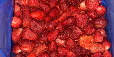 Az Ezar Frozen Foods Europe (az Ezar Frozen Foods