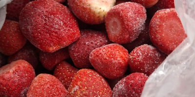 Az Ezar Frozen Foods Europe (az Ezar Frozen Foods