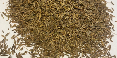Cumin seeds. 99.9% purity, brown. 25 kg packaging, polypropylene