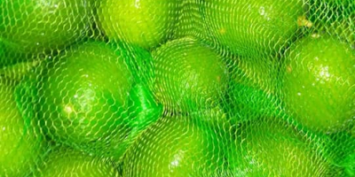 seedless Limonka from Egypt, high quality