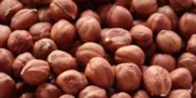 Hazelnuts, calibrated 11–13 mm, heavily roasted Price: PLN 52.29/kg,