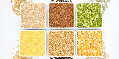 OUR OWN PRODUCTION – KAMPOL RUSIEC We offer high-quality