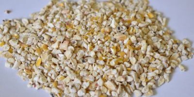 We offer corn germ, a valuable feed additive with