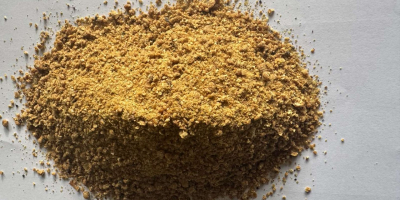 Frescho Group Poland Sp. z o. o. offers high-quality