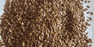 I have brown flax to offer, originating from Kazakhstan,